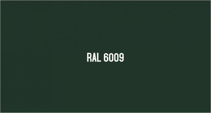 RAL6009